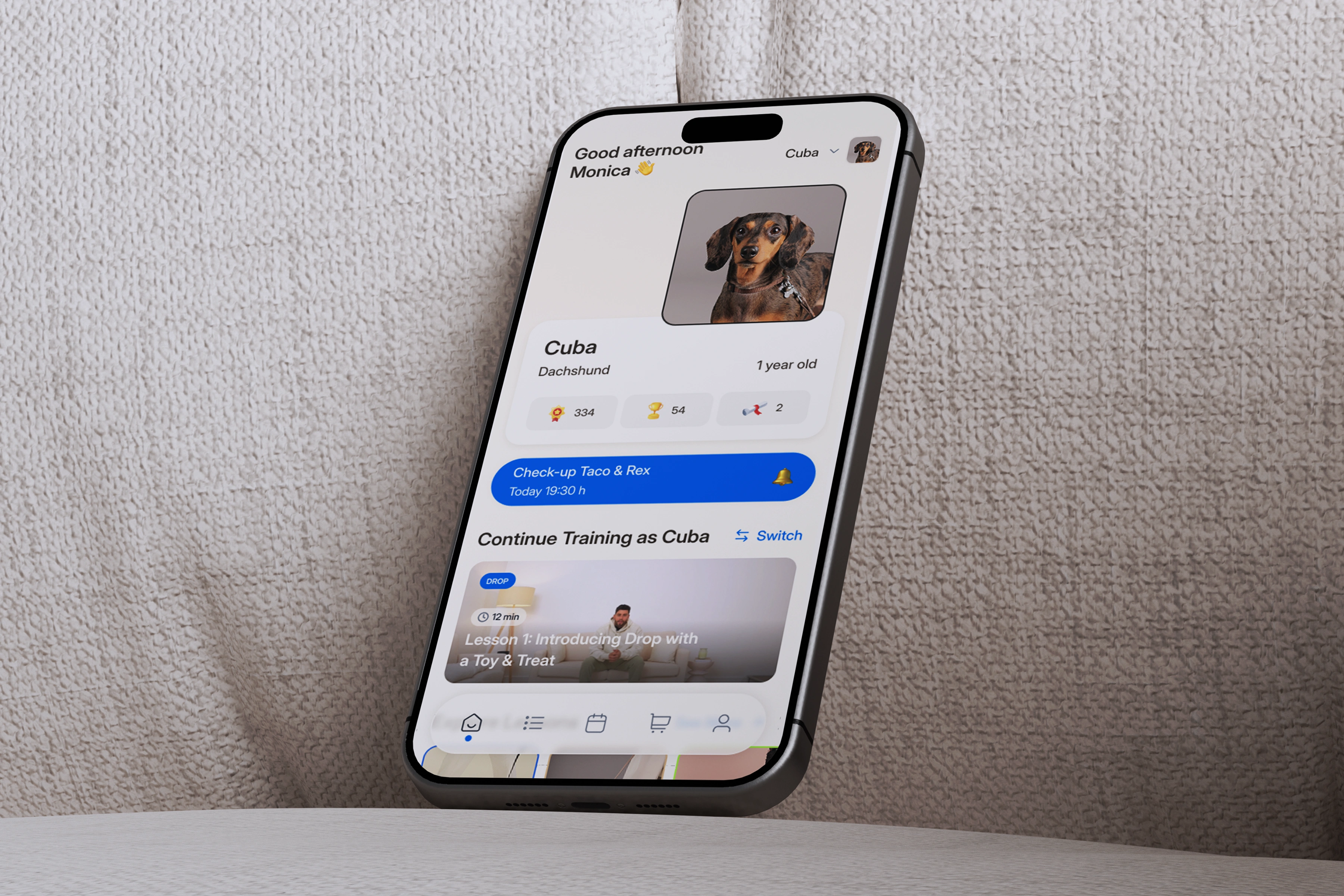 Dogit – Dog Training Mobile App Design